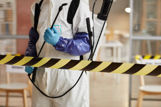 Professional Unattended Death Cleanup technician working in Osteen, FL